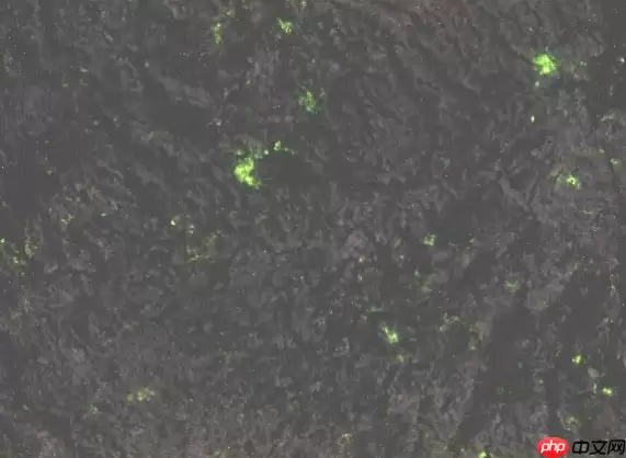 第九届“泰迪杯”数据挖掘挑战赛：岩石样本的智能识别分享 - 游乐网