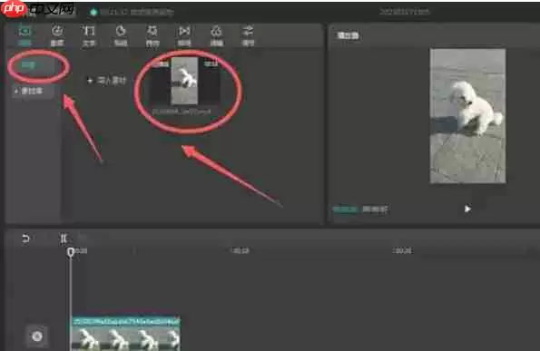 剪映怎么给将画面定格-剪映给将画面定格的方法