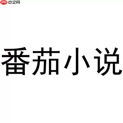 番茄小说VIP免费全畅读 番茄免费小说永久会员清爽版