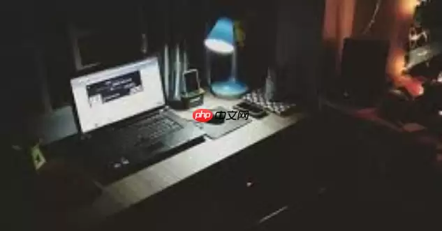 Office专业工具全开 Office永久激活版纯净无扰