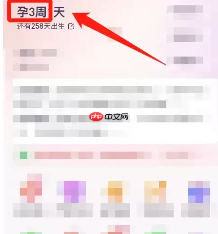 宝宝树孕育怎么知道我怀孕几周了 宝宝树孕育计算怀孕多少周方法