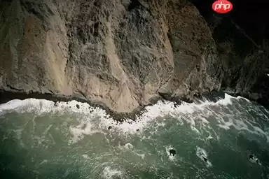 用PaddleClas完成不平衡数据集多标签分类 - 游乐网