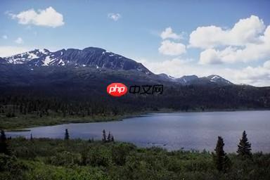 用PaddleClas完成不平衡数据集多标签分类 - 游乐网