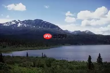 用PaddleClas完成不平衡数据集多标签分类 - 游乐网