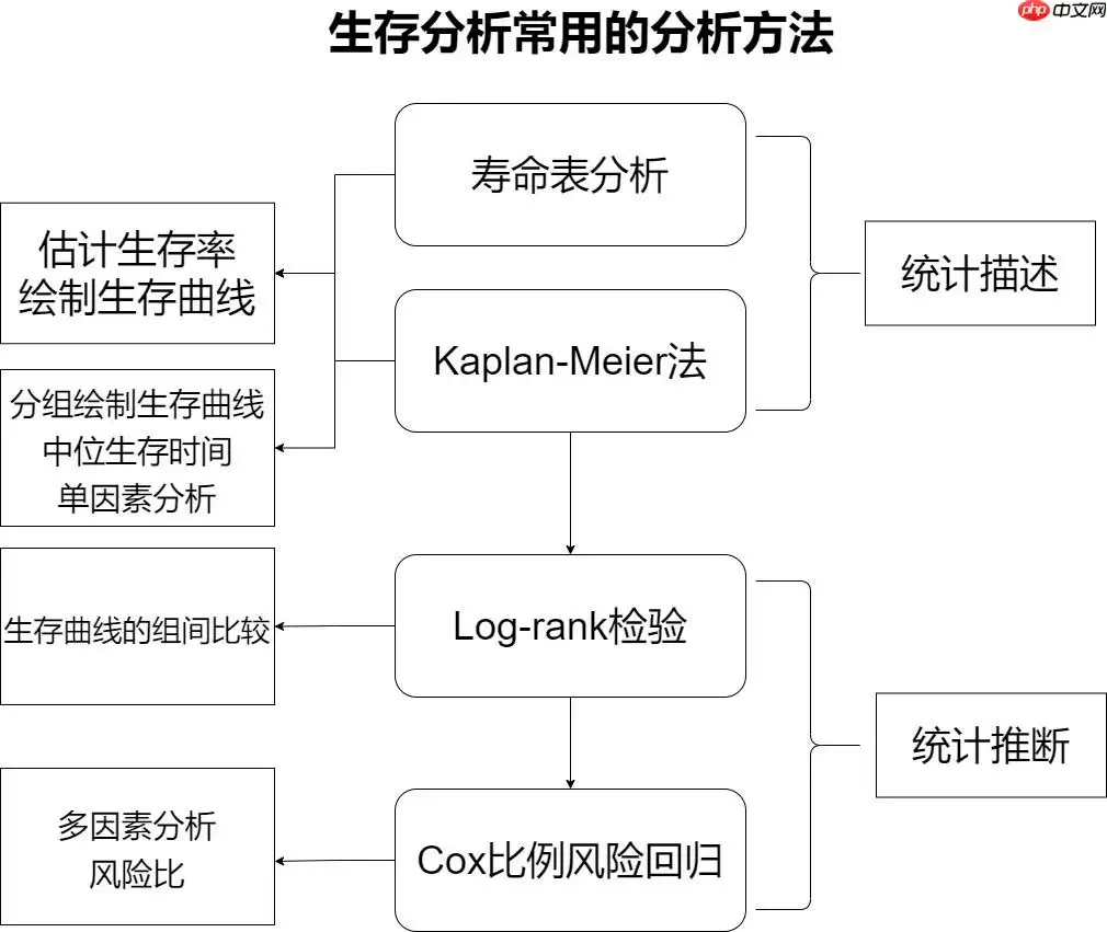 一篇项目走进生存分析(Survival Analysis)的世界【Python版 - 游乐网