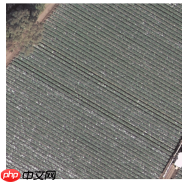 基于paddleSeg的自定义遥感数据语义分割——以DLRSD为例 - 游乐网