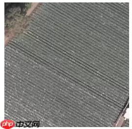 基于paddleSeg的自定义遥感数据语义分割——以DLRSD为例 - 游乐网