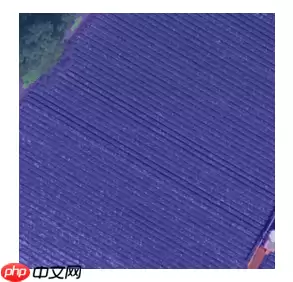 基于paddleSeg的自定义遥感数据语义分割——以DLRSD为例 - 游乐网