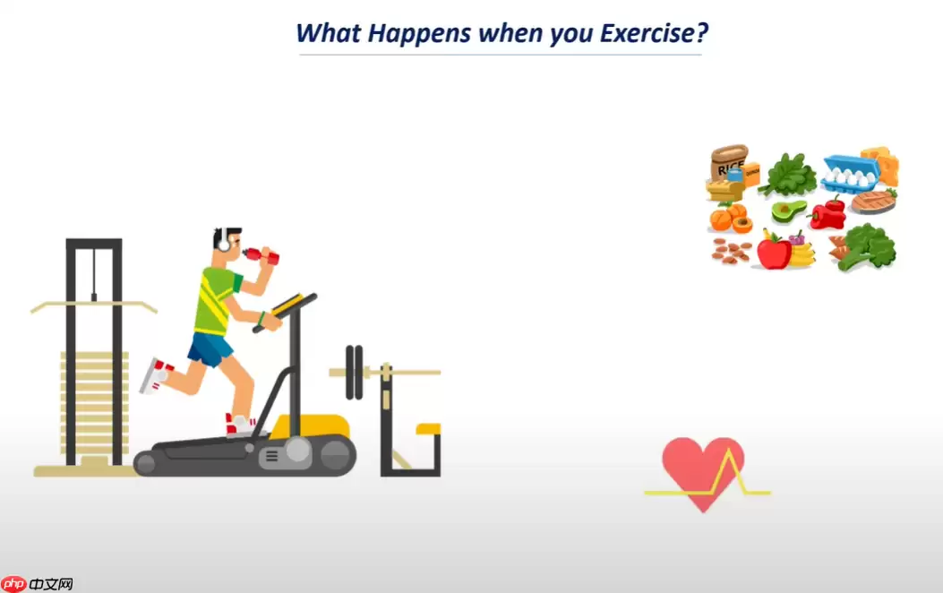 机器学习项目三：XGBoost人体卡路里消耗预测 - 游乐网