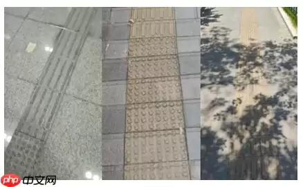 基于飞桨的盲道引导系统 - 游乐网