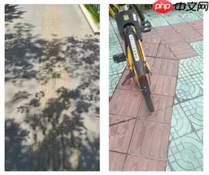 基于飞桨的盲道引导系统 - 游乐网