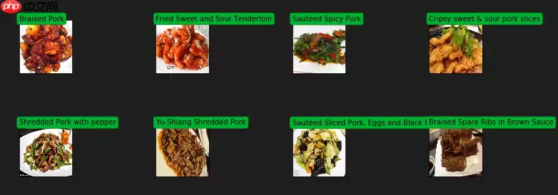 基于ResNet-152模型的172种食物图像分类（教育部产学合作协同育人项目） - 游乐网