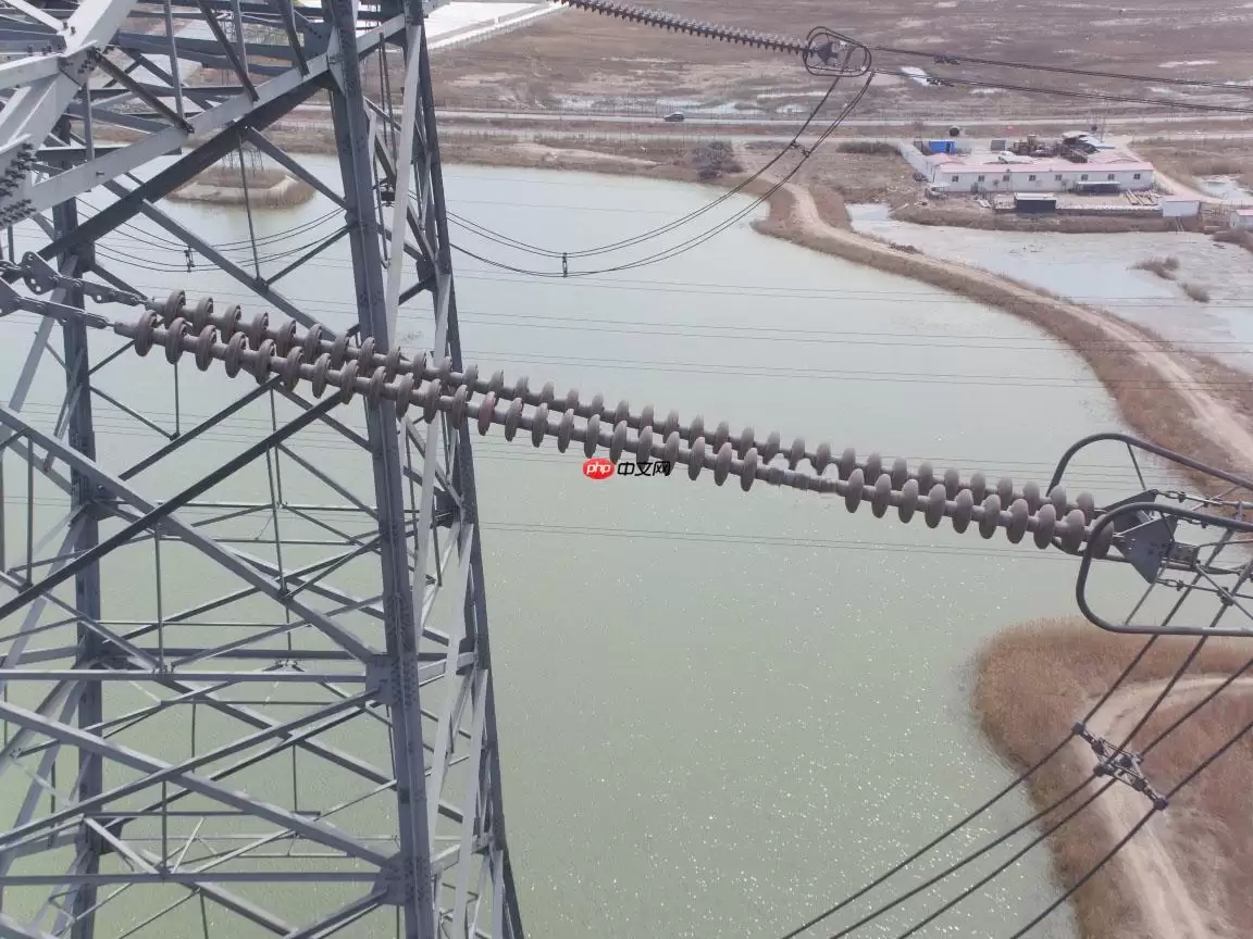 基于PaddleX2.0-PicoDet实现高压输电线路绝缘子缺陷检测 - 游乐网