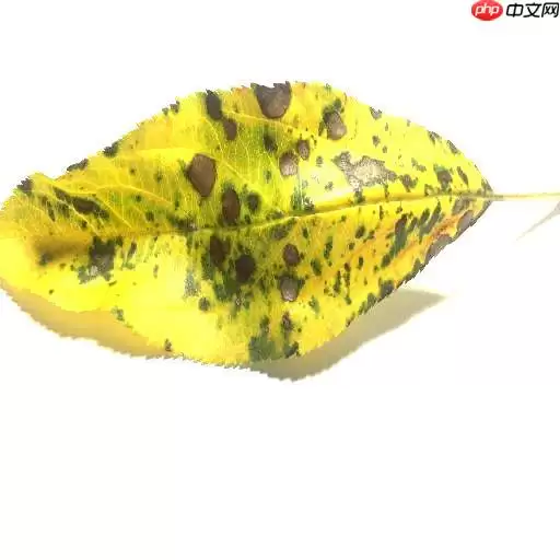 [AI特训营第三期]全流程前沿超轻量PPLCNetV2苹果病害识别 - 游乐网