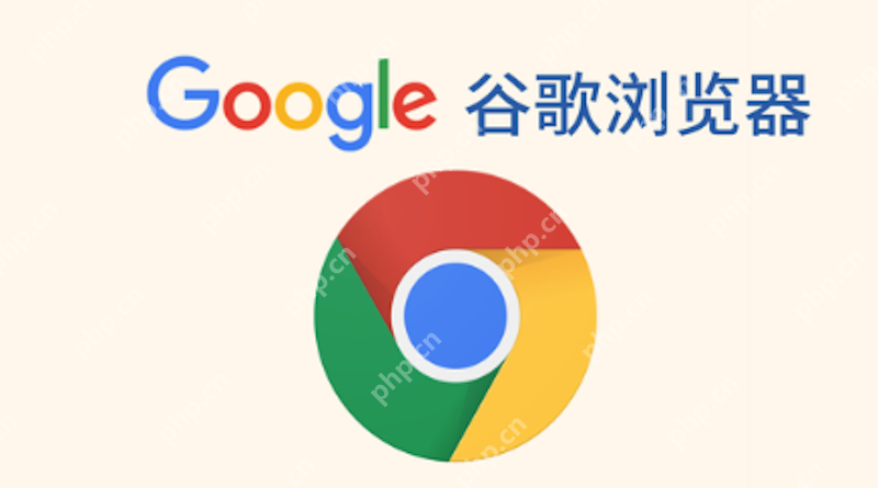谷歌浏览器密码管理功能不工作怎么办？如何恢复？ - 游乐网