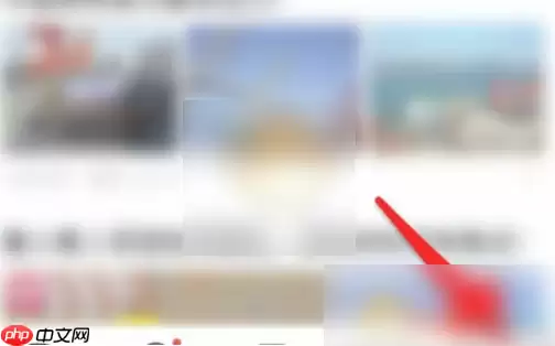 vivo浏览器怎么关闭广告拦截 vivo浏览器关闭广告拦截方法