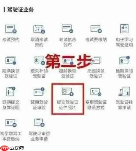 交管12123怎么换领驾驶证 交管12123驾照更换流程介绍