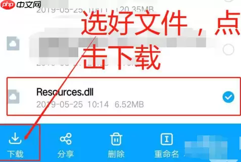 百度云盘怎么用流量下载文件 用流量下载文件方法