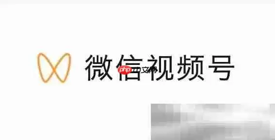 视频号怎么申请？（微信视频号开通认证教程）