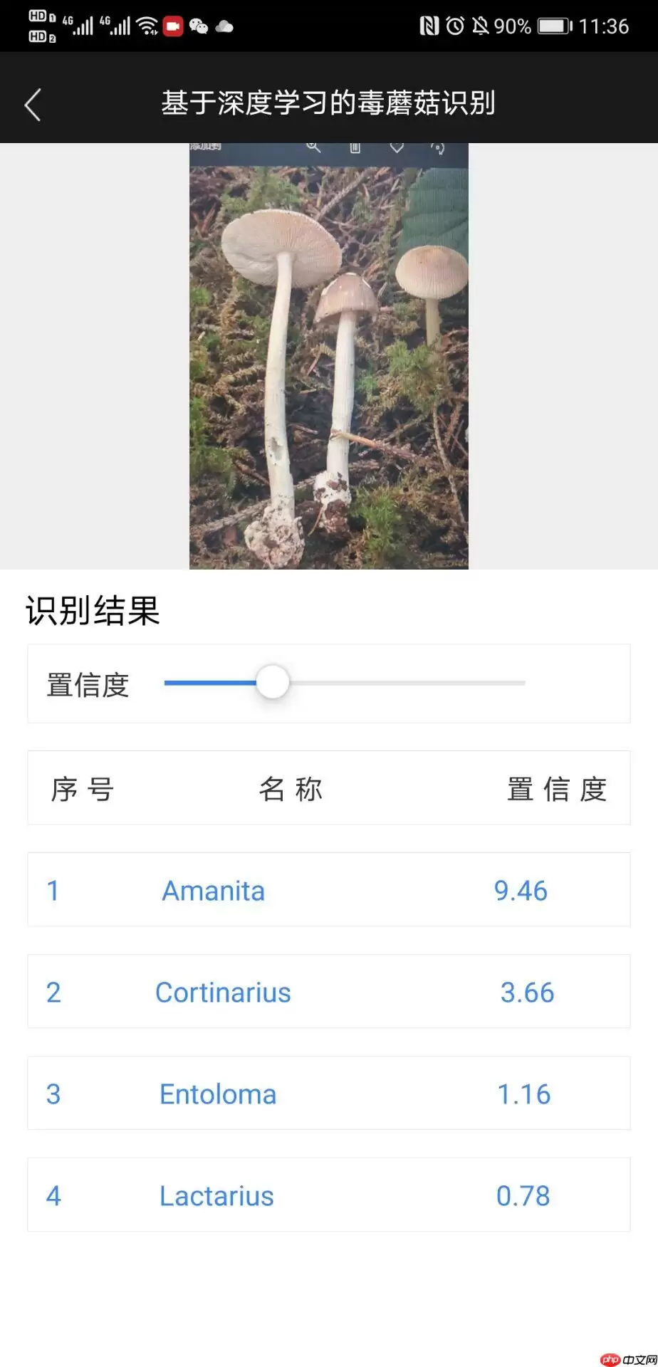 手把手教你部署一个蘑菇识别的小应用 - 游乐网