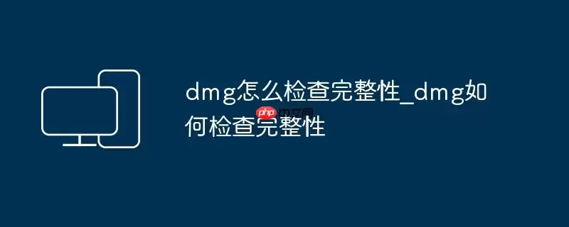 dmg怎么检查完整性_dmg如何检查完整性