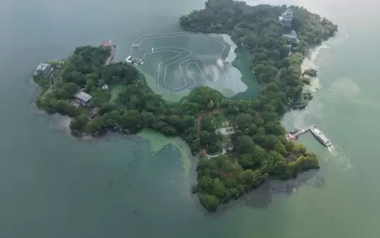 天龙共创丨为了见少侠，我们包下了一座岛！8月2日，苏州桃花岛等你赴约！