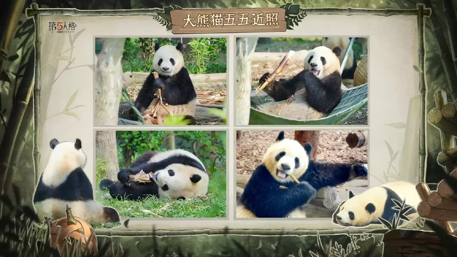 《第五人格》熊猫系列时装今日上新及返场