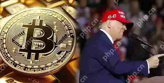 川普儿子比特币矿企american bitcoin借壳上市详解!gryphon mining股价狂飙330%