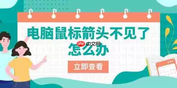 电脑鼠标箭头不见了怎么办 一文教你快速找回鼠标光标