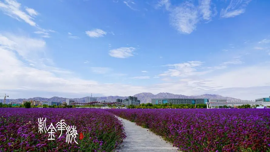 【飞桨黑客松-AIGC - DreamBooth LoRA】HomeTown - 游乐网