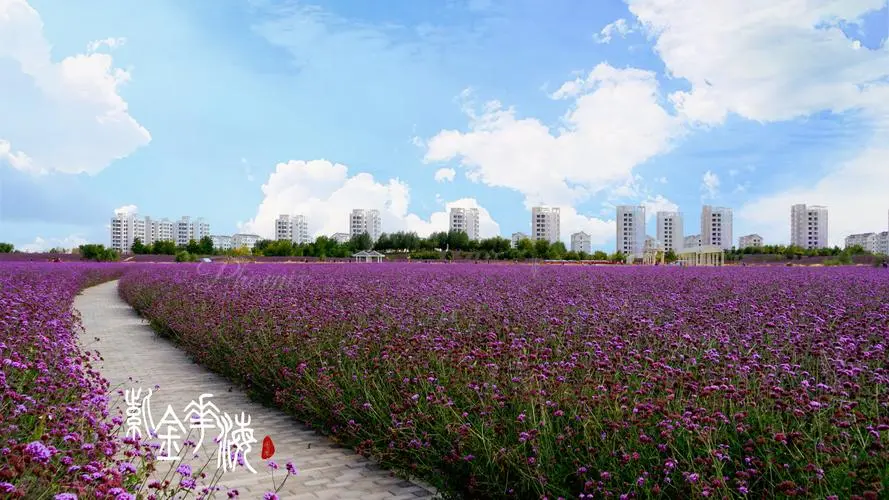 【飞桨黑客松-AIGC - DreamBooth LoRA】HomeTown - 游乐网