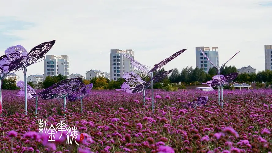 【飞桨黑客松-AIGC - DreamBooth LoRA】HomeTown - 游乐网