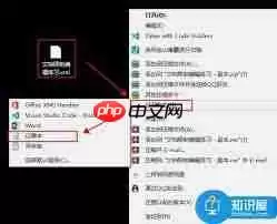 怎么去掉word权限