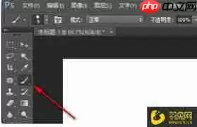 ps2021如何调节画笔工具不透明度