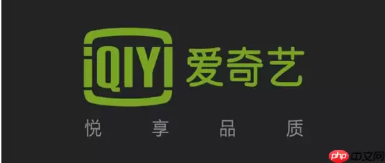 爱奇艺随刻版和爱奇艺有什么区别  爱奇艺随刻版和爱奇艺的区别是什么