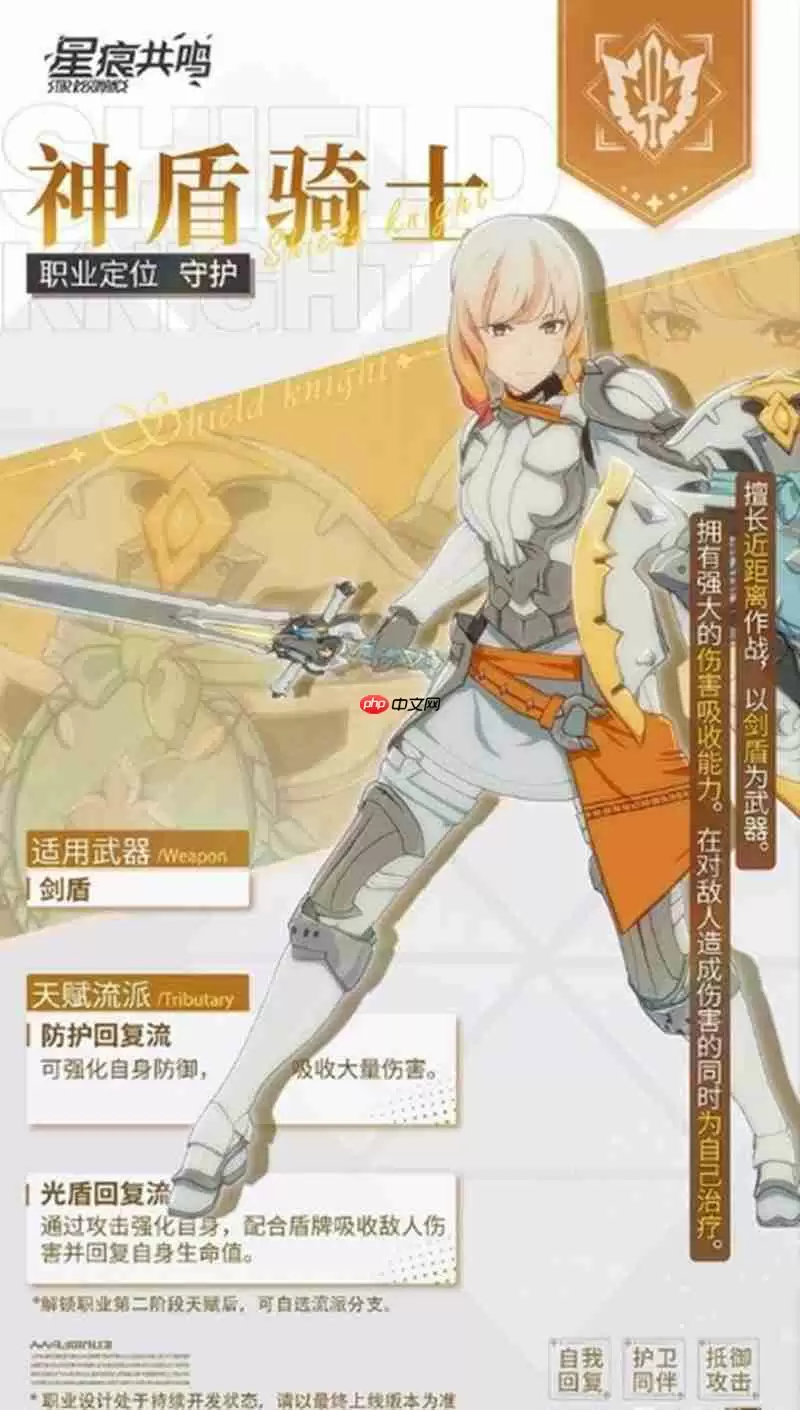 星痕共鸣神盾骑士怎么玩 神盾骑士职业流派详解