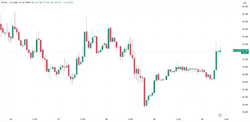 比特币价格图表1