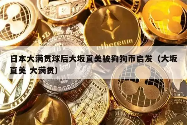 日本大满贯球后大坂直美被狗狗币启发（大坂直美 大满贯）
