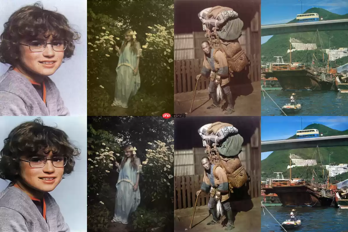 基于PaddlePaddle复现Old2Life - 游乐网