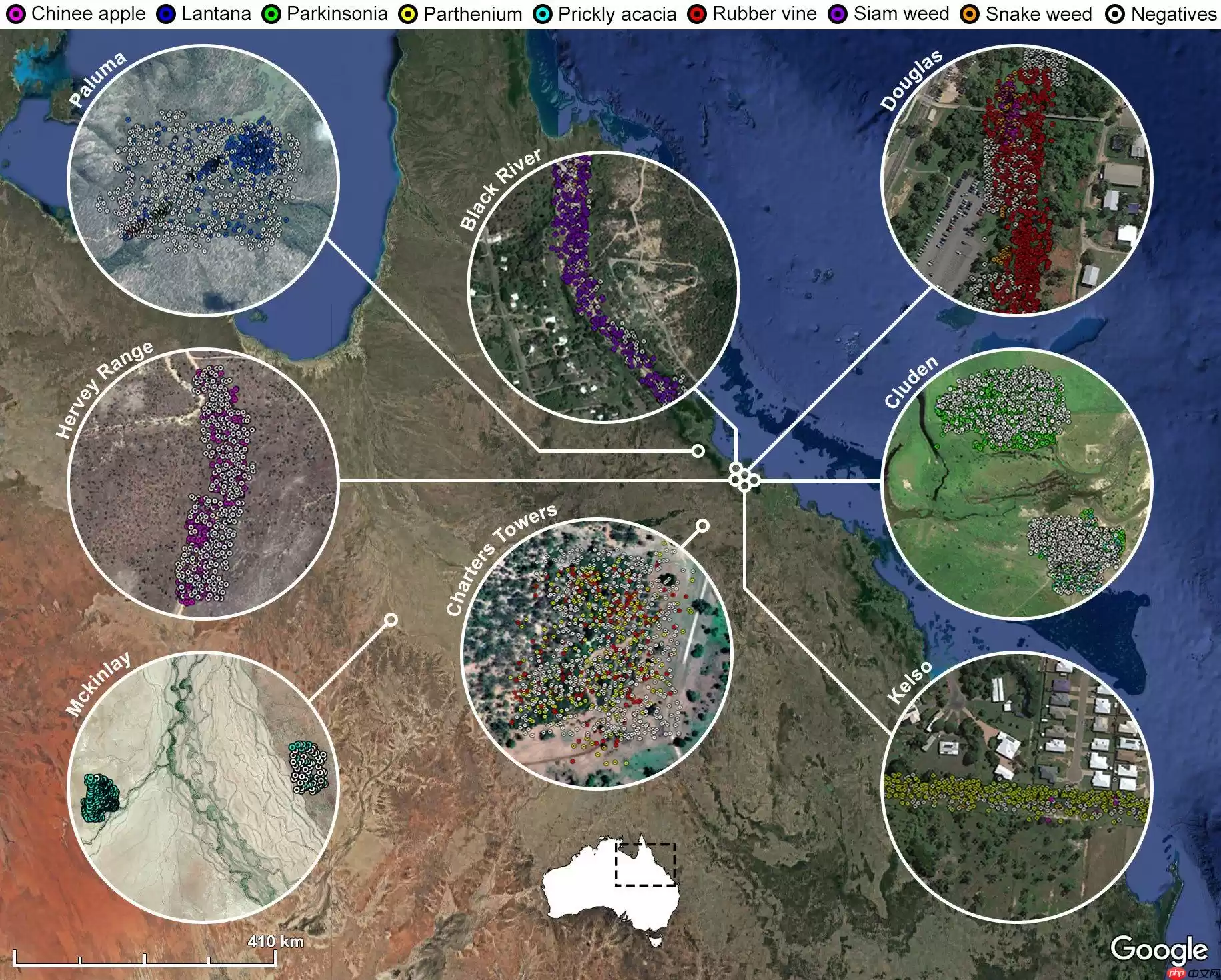【特训营第三期 】基于PaddleClas的多场景杂草分类 - 游乐网