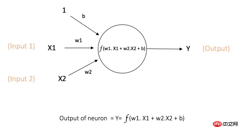 基于飞桨的简单神经网络搭建—以心脏病的预测为例 - 游乐网