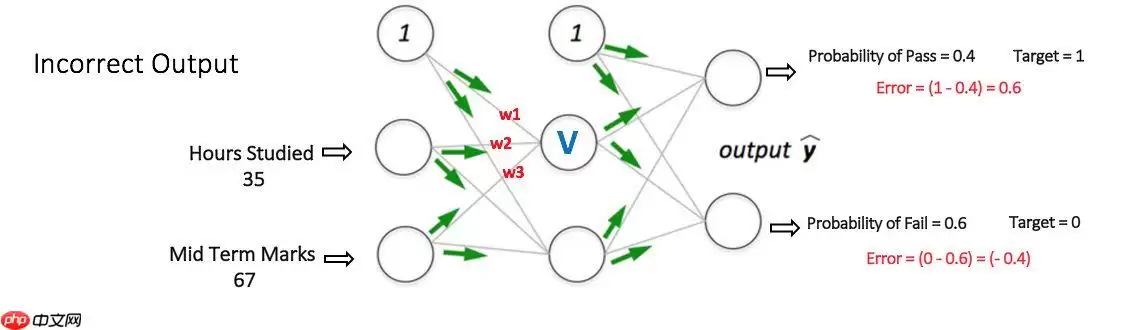 基于飞桨的简单神经网络搭建—以心脏病的预测为例 - 游乐网