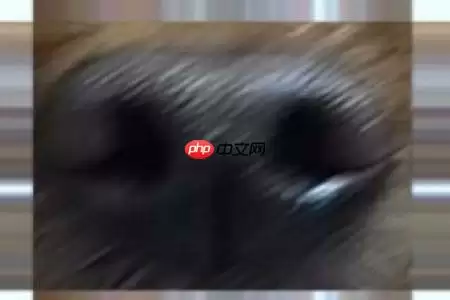 【Al达人特训营】基于狗鼻子识别狗狗身份 - 游乐网