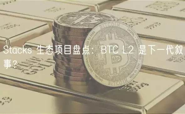 Stacks 生态项目盘点：BTC L2 是下一代叙事？-第1张图片-本站