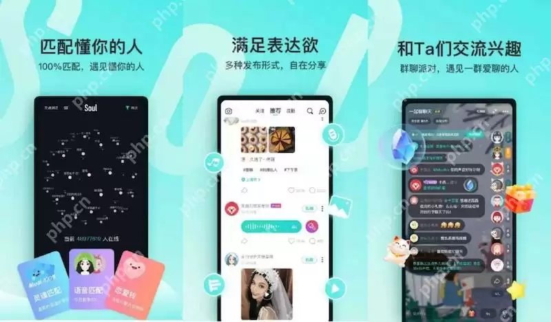 soul动态加载不出来是什么原因 soul广场内容无法查看怎么办 - 游乐网