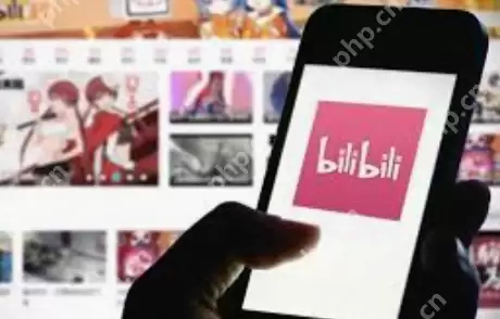 怎么在线看b站国产大片 b站高清国产大片在线观看入口 - 游乐网