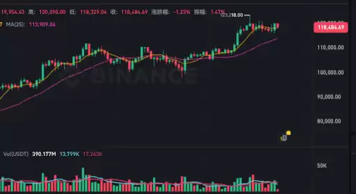 区块链十大生态系统:构建去中心化未来的关键网络(最新洞察) - 菜鸟下载