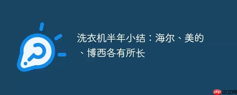 洗衣机半年小结：海尔、美的、博西各有所长