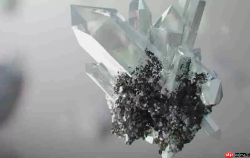 三角洲行动联动明日方舟有什么内容 联动活动详细介绍