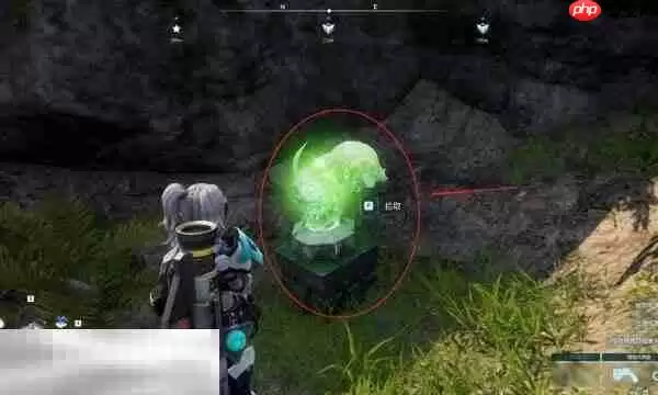 幻兽帕鲁通往雪山的岔路收集点是什么 帕鲁雪山的岔路收集地点